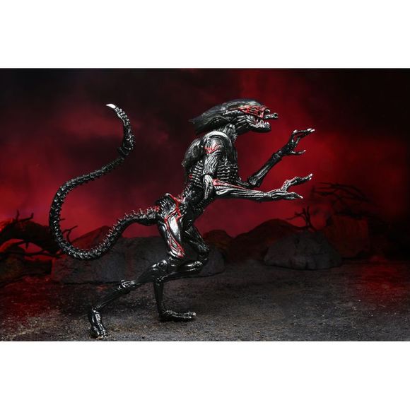 Aliens - 7″ Scale Action Figure - Kenner Tribute Ultimate Night Cougar Alien - Picture 5 of 6
